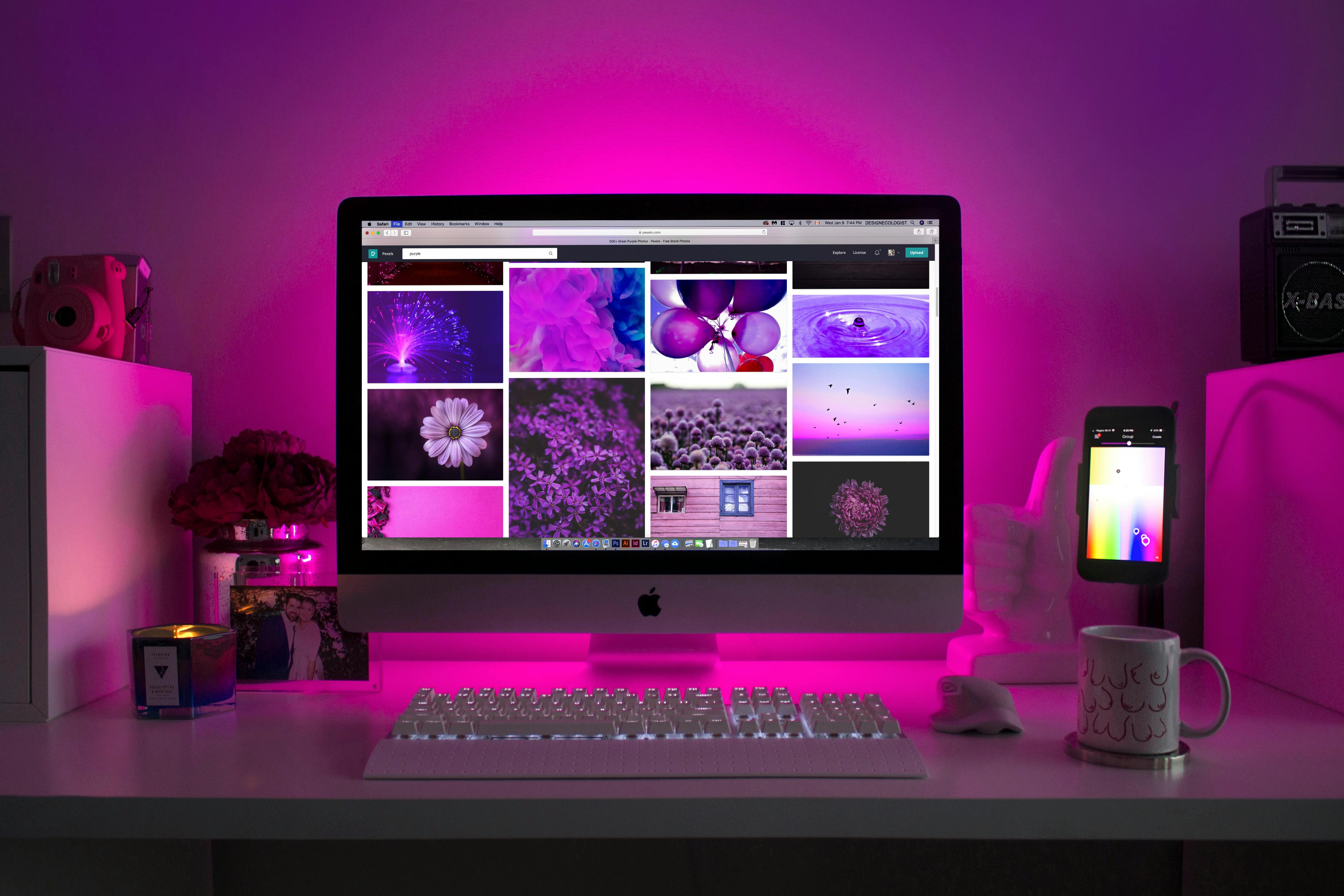 Website Hosting